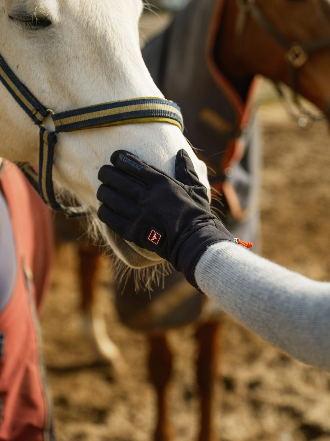 HeatX Nordic Gloves Lämpöhansikkaat